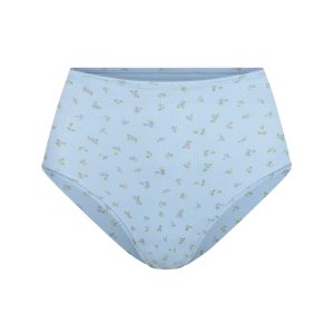FULL BRIEF