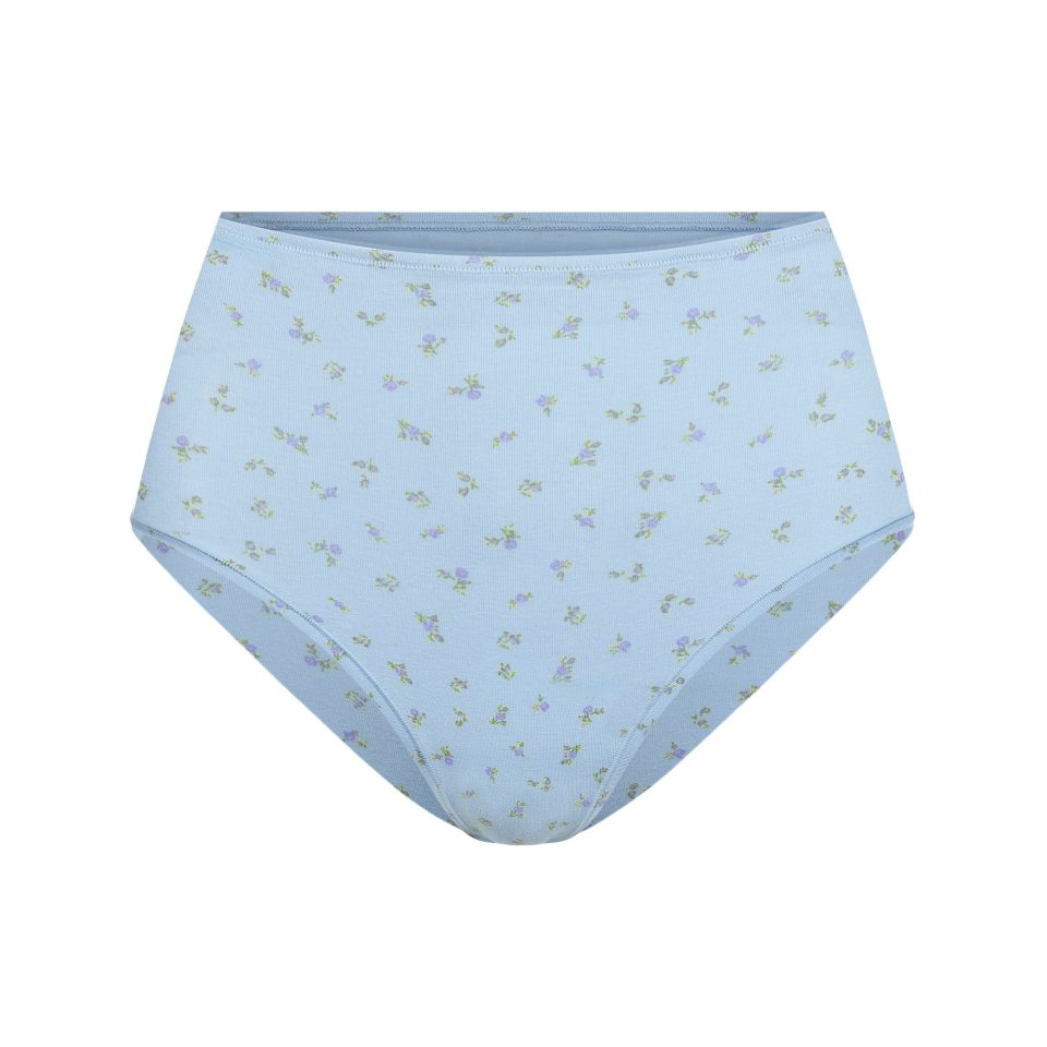FULL BRIEF