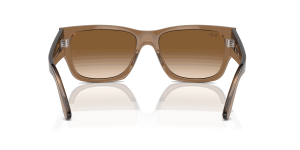 RayBan CARLOS
