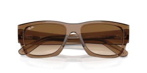 RayBan CARLOS