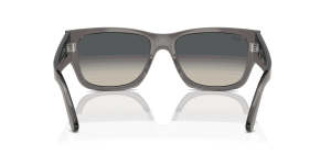 RayBan CARLOS