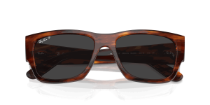 RayBan CARLOS