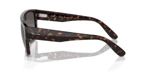 RayBan DRIFTER