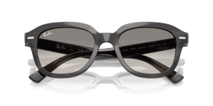 RayBan ERIK