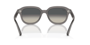 RayBan ERIK