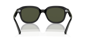 RayBan ERIK