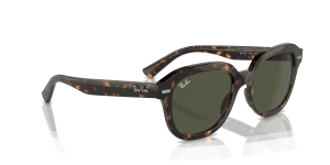 RayBan ERIK