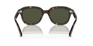 RayBan ERIK