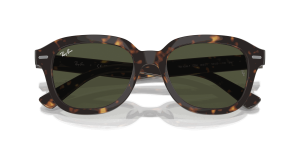 RayBan ERIK