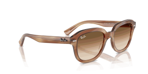 RayBan ERIK