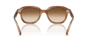 RayBan ERIK