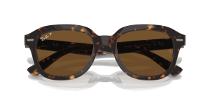RayBan ERIK