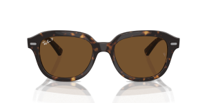 RayBan ERIK