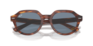 RayBan GINA