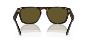 RayBan RB4407