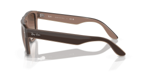 RayBan RB4407