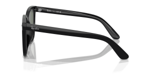 RayBan RB4401D