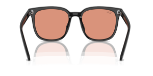 RayBan RB4401D