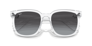 RayBan RB4401D