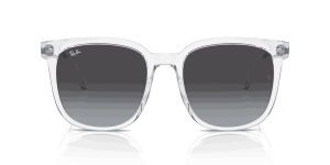 RayBan RB4401D