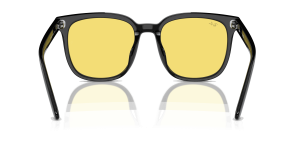 RayBan RB4401D WASHED LENSES