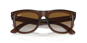 RayBan WAYFARER REVERSE