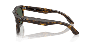 RayBan WAYFARER REVERSE