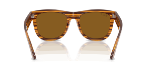 RayBan WAYFARER REVERSE